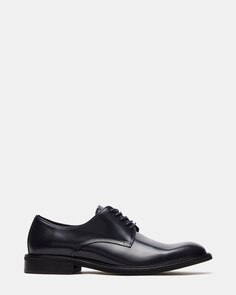 Туфли Hadar Navy Box Leather Steve Madden, синий
