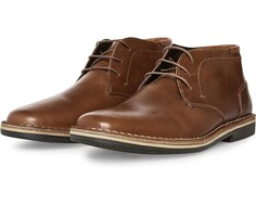 Ботинки Steve Madden Harken - Extended Sizes, цвет Cognac Leather
