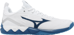 Кроссовки Wave Luminous 2 White Sailor Blue, белый Mizuno