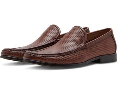 Лоферы Steve Madden Jabrian, цвет Tan
