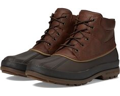 Ботинки Sperry Cold Bay Chukka, цвет Brown/Coffee