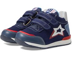 Кроссовки Naturino Falcotto New Ferdi 2 Vl., цвет Navy-Celeste