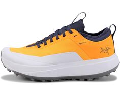 Кроссовки Arcteryx Sylan GTX, цвет Edziza/Solitude Arcteryx