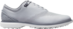 Бутсы Jordan ADG 4 Wolf Grey, серый