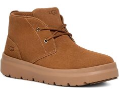 Кроссовки UGG Burleigh Chukka, цвет Chestnut