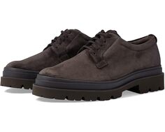 Оксфорды Vince Rhodes, цвет Palomar Dark Brown Suede