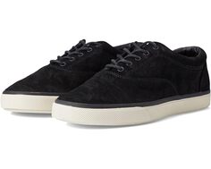 Кроссовки Sperry Striper Plushwave CVO, черный