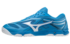Кроссовки Mizuno Medal 6 унисекс