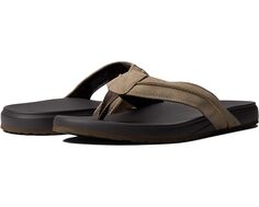 Сандалии Dockers Freddy, цвет Taupe