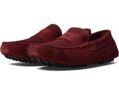 Лоферы Massimo Matteo Suede Penny Driver, цвет Vinho