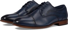 Оксфорды Bryant Cap Toe Lace-Up Stacy Adams, темно-синий