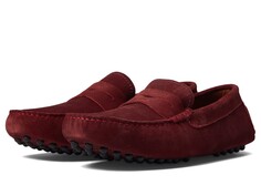 Мокасины Massimo Matteo, Suede Penny Driver