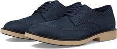 Оксфорды Cole Haan Go To Wing, цвет Navy Blazer Nubuck/Black Dark Latte