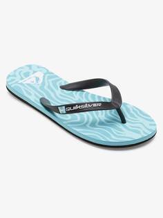 Шлепанцы Quiksilver MOLOKAI ART II, синий