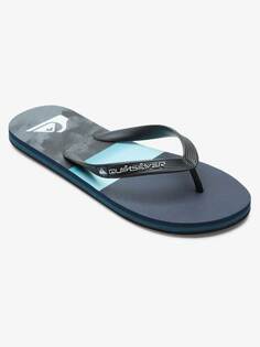 Шлепанцы Quiksilver MOLOKAI PANEL, разноцветный
