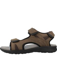 Трекинговые сандалии SPHERICA Geox, цвет marron