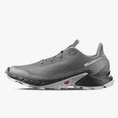 Кроссовки Alphacross 5 Salomon, серый