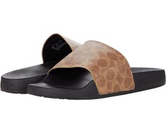 Кроссовки COACH Signature Coated Canvas Pool Slide, цвет Tan Signature