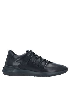 Кроссовки TodS, черный Tod’S