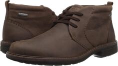 Ботинки Turn GORE-TEX Chukka Tie ECCO, цвет Cocoa Brown