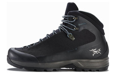 Ботинки ArcTeryx Acrux TR GTX, черные Arcteryx