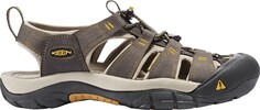 Сандалии Newport H2 - мужские KEEN, коричневый