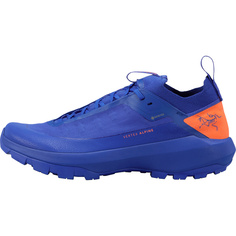 Мужские туфли Vertex Alpine GTX Arcteryx, синий Arcteryx