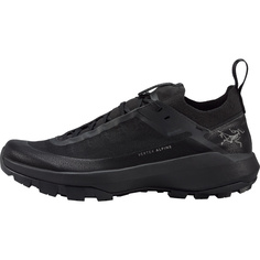 Мужские туфли Vertex Alpine GTX Arcteryx, черный Arcteryx