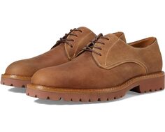 Оксфорды Steve Madden Bronzi, цвет Tan Leather