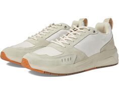 Кроссовки Steve Madden Barron, белый