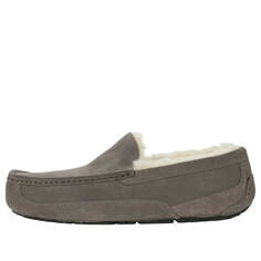 Тапочки тапочки аскот Ugg, серый