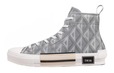 Мужская обувь для скейтбординга Dior B23