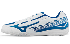 Мужская тренировочная обувь Mizuno