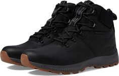 Ботинки Columbia Landroamer Explorer Waterproof, цвет Black/Dark Grey