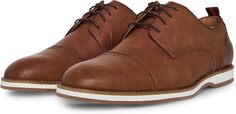 Оксфорды Steve Madden Saverio, цвет Tan