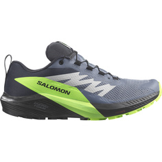 Мужские туфли Sense Ride 5 GTX Salomon, серый