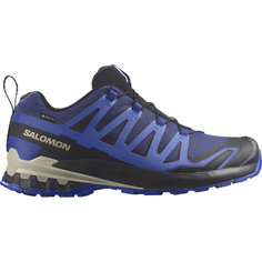 Мужские туфли Xa Pro 3D V9 GTX Salomon, синий