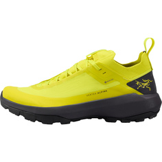 Мужские туфли Vertex Alpine GTX Arcteryx, желтый Arcteryx