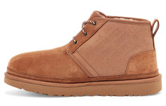 Зимние ботинки Neumel Мужские Честтановый Мульти Ugg