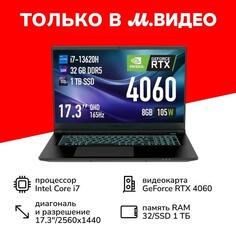 Ноутбук игровой Thunderobot Range 17 Pro JT009600HRU Range 17 Pro JT009600HRU
