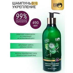 Шампунь для волос BIOWORLD Шампунь-укрепление "Имбирь,красный женьшень" Botanic Life 490.0