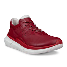 Кроссовки BIOM 2.2 W Ecco