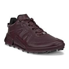 Кроссовки BIOM 2.1 X MOUNTAIN W Ecco