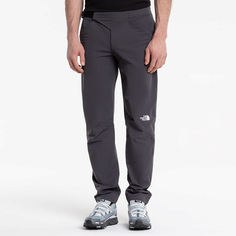 Мужские брюки The North Face Winter Pant