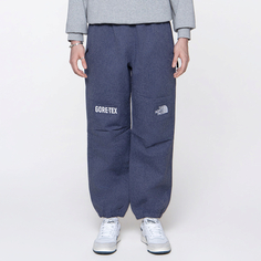 Мужские брюки Gore-Tex Mountain Pant The North Face