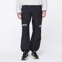 Мужские брюки Gore-Tex Mountain Pant The North Face