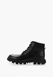 Ботинки Francesco Donni 