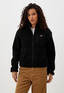 Олимпийка Dickies MOUNT HOPE
