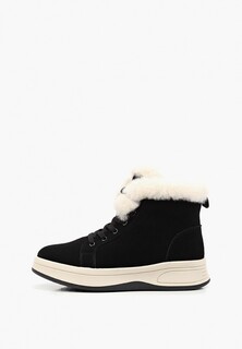 Ботинки Dino Albat 