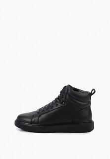 Кеды Francesco Donni 